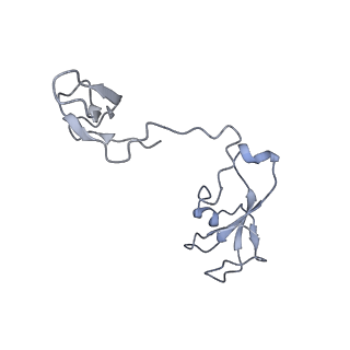 13131_7ozp_I_v1-1
RNA Polymerase II dimer (Class 3)
