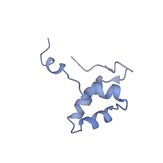 13131_7ozp_J_v1-1
RNA Polymerase II dimer (Class 3)