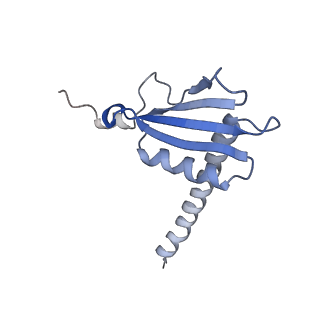 13131_7ozp_K_v1-1
RNA Polymerase II dimer (Class 3)