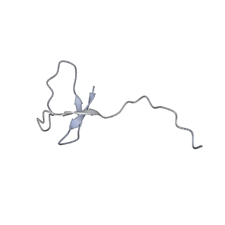 13131_7ozp_L_v1-1
RNA Polymerase II dimer (Class 3)