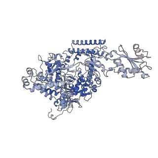 13131_7ozp_M_v1-1
RNA Polymerase II dimer (Class 3)