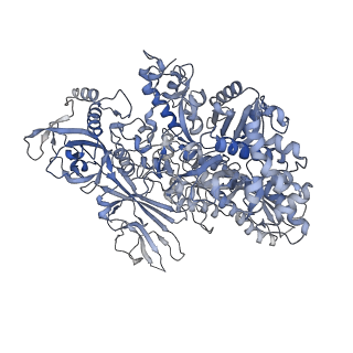 13131_7ozp_N_v1-1
RNA Polymerase II dimer (Class 3)