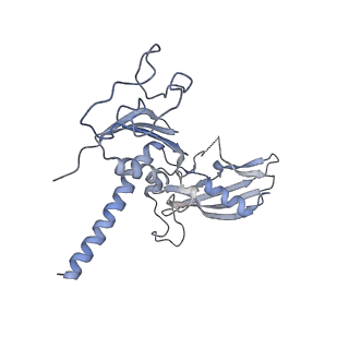 13131_7ozp_O_v1-1
RNA Polymerase II dimer (Class 3)