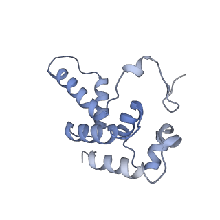 13131_7ozp_P_v1-1
RNA Polymerase II dimer (Class 3)