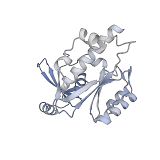 13131_7ozp_Q_v1-1
RNA Polymerase II dimer (Class 3)