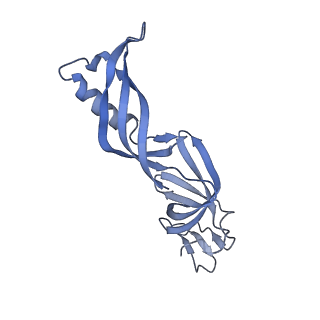 13131_7ozp_S_v1-1
RNA Polymerase II dimer (Class 3)