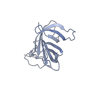 13131_7ozp_T_v1-1
RNA Polymerase II dimer (Class 3)