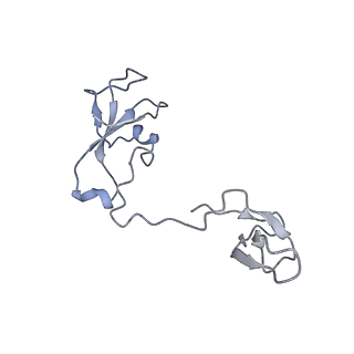 13131_7ozp_U_v1-1
RNA Polymerase II dimer (Class 3)
