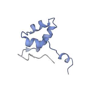13131_7ozp_V_v1-1
RNA Polymerase II dimer (Class 3)