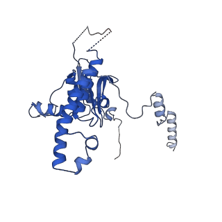 13134_7ozs_A_v1-2
Structure of the hexameric 5S RNP from C. thermophilum