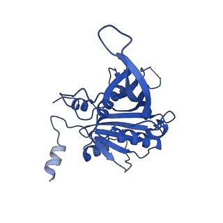 13134_7ozs_C_v1-2
Structure of the hexameric 5S RNP from C. thermophilum