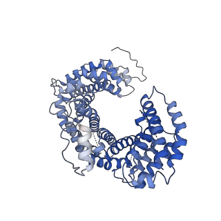 13134_7ozs_F_v1-2
Structure of the hexameric 5S RNP from C. thermophilum