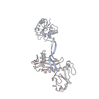 17299_8oz6_A_v1-1
cryoEM structure of SPARTA complex ligand-free