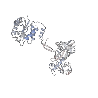 17299_8oz6_C_v1-1
cryoEM structure of SPARTA complex ligand-free