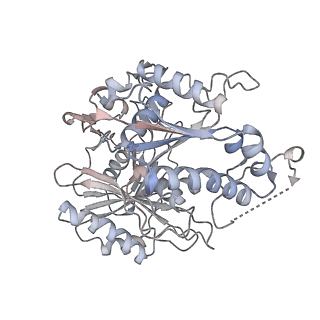 17299_8oz6_D_v1-1
cryoEM structure of SPARTA complex ligand-free
