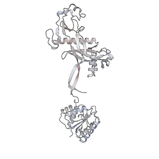 17299_8oz6_E_v1-1
cryoEM structure of SPARTA complex ligand-free