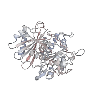 17299_8oz6_F_v1-1
cryoEM structure of SPARTA complex ligand-free