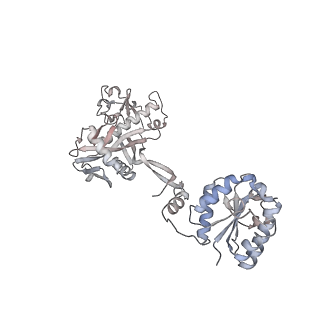 17299_8oz6_G_v1-1
cryoEM structure of SPARTA complex ligand-free