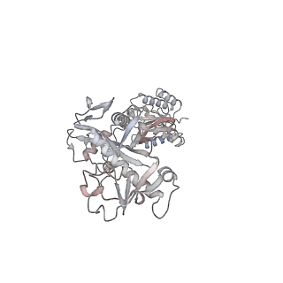17304_8ozc_A_v1-1
cryoEM structure of SPARTA complex heterodimer apo