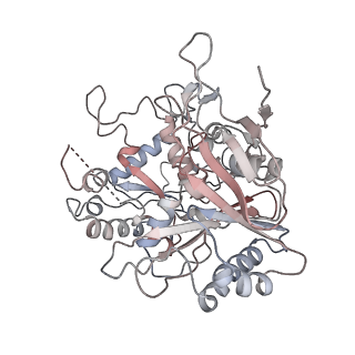 17304_8ozc_B_v1-1
cryoEM structure of SPARTA complex heterodimer apo