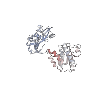 17305_8ozd_A_v1-1
cryoEM structure of SPARTA complex dimer-3