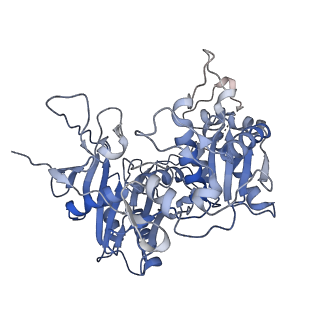 17305_8ozd_B_v1-1
cryoEM structure of SPARTA complex dimer-3