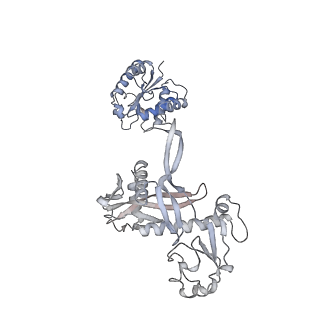 17307_8ozf_A_v1-1
cryoEM structure of SPARTA complex Tetramer Post-NAD cleavage-2