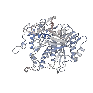 17307_8ozf_B_v1-1
cryoEM structure of SPARTA complex Tetramer Post-NAD cleavage-2