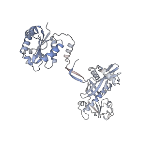 17307_8ozf_C_v1-1
cryoEM structure of SPARTA complex Tetramer Post-NAD cleavage-2