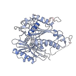 17307_8ozf_E_v1-1
cryoEM structure of SPARTA complex Tetramer Post-NAD cleavage-2
