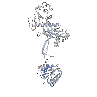 17307_8ozf_F_v1-1
cryoEM structure of SPARTA complex Tetramer Post-NAD cleavage-2