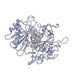 17307_8ozf_G_v1-1
cryoEM structure of SPARTA complex Tetramer Post-NAD cleavage-2