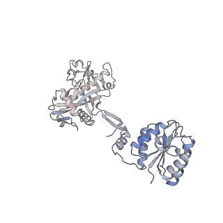 17307_8ozf_H_v1-1
cryoEM structure of SPARTA complex Tetramer Post-NAD cleavage-2