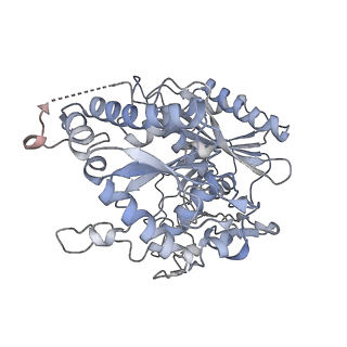 17307_8ozf_M_v1-1
cryoEM structure of SPARTA complex Tetramer Post-NAD cleavage-2