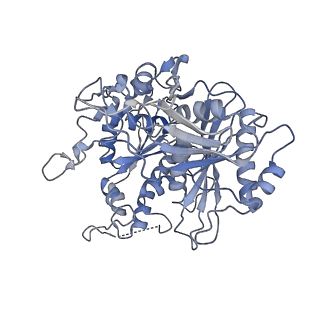 17308_8ozg_B_v1-1
cryoEM structure of SPARTA complex Tetramer Post-NAD cleavage-1