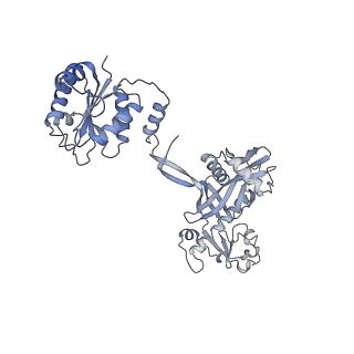 17308_8ozg_C_v1-1
cryoEM structure of SPARTA complex Tetramer Post-NAD cleavage-1