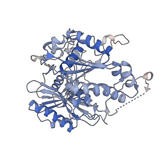 17308_8ozg_E_v1-1
cryoEM structure of SPARTA complex Tetramer Post-NAD cleavage-1
