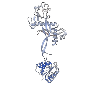 17308_8ozg_F_v1-1
cryoEM structure of SPARTA complex Tetramer Post-NAD cleavage-1