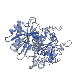 17308_8ozg_G_v1-1
cryoEM structure of SPARTA complex Tetramer Post-NAD cleavage-1