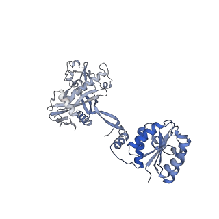 17308_8ozg_H_v1-1
cryoEM structure of SPARTA complex Tetramer Post-NAD cleavage-1