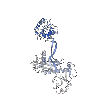17310_8ozi_A_v1-1
cryoEM structure of SPARTA complex pre-NAD cleavage