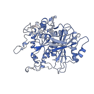 17310_8ozi_B_v1-1
cryoEM structure of SPARTA complex pre-NAD cleavage