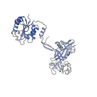 17310_8ozi_C_v1-1
cryoEM structure of SPARTA complex pre-NAD cleavage