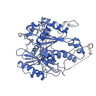 17310_8ozi_D_v1-1
cryoEM structure of SPARTA complex pre-NAD cleavage