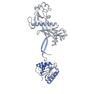 17310_8ozi_E_v1-1
cryoEM structure of SPARTA complex pre-NAD cleavage
