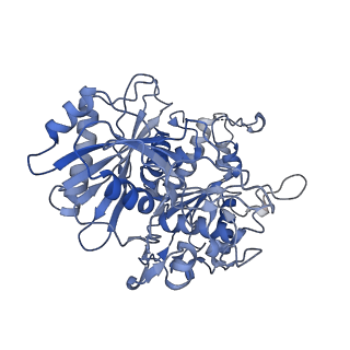 17310_8ozi_F_v1-1
cryoEM structure of SPARTA complex pre-NAD cleavage