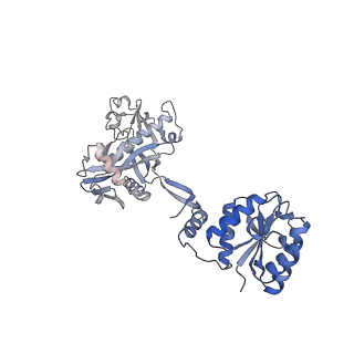 17310_8ozi_G_v1-1
cryoEM structure of SPARTA complex pre-NAD cleavage