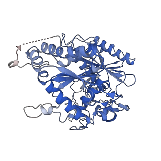 17310_8ozi_H_v1-1
cryoEM structure of SPARTA complex pre-NAD cleavage
