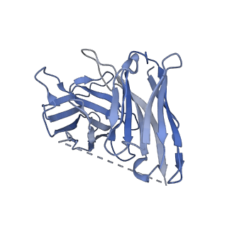 13140_7p00_H_v1-0
Human Neurokinin 1 receptor (NK1R) substance P Gq chimera (mGsqi) complex