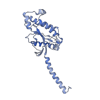 13141_7p02_A_v1-0
Human Neurokinin 1 receptor (NK1R) substance P Gs complex